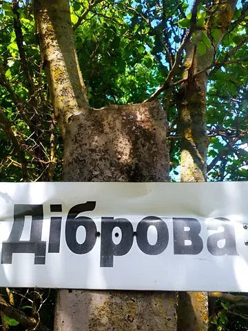 Продаж земельної ділянки  площа 6 сот Вишнева вулиця  - фото 2