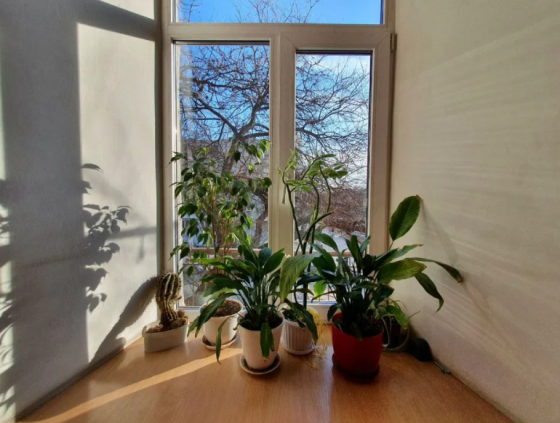 Большая квартира в исторической части города. Одеса