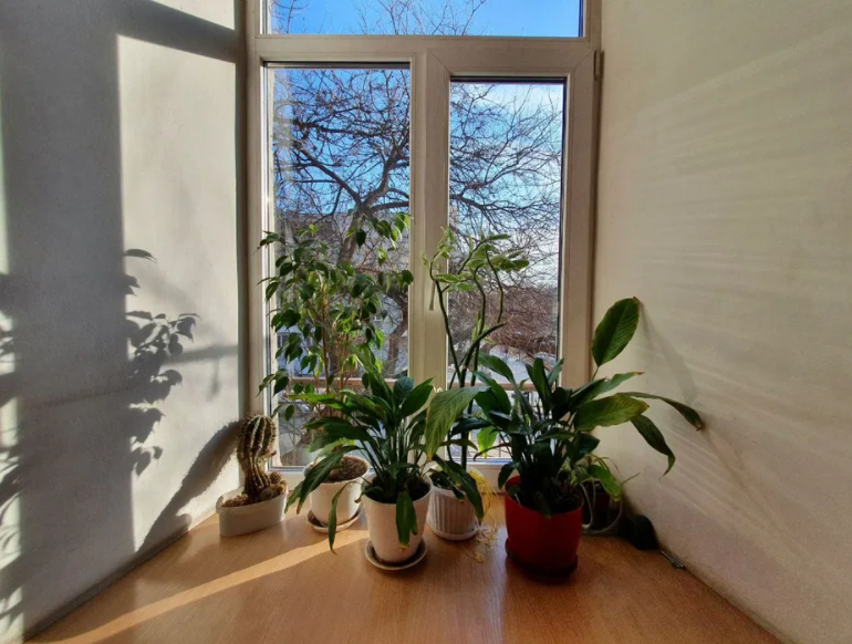 Большая квартира в исторической части города. Одеса - фото 5