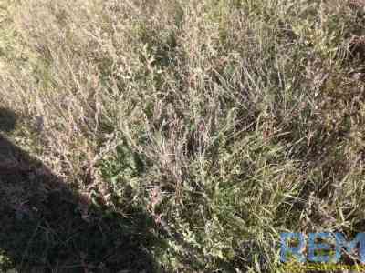 Продаж комерційне приміщення на ул. Шкодовая Гора, 3 приміщень - 1, поверх - 1 Одеса