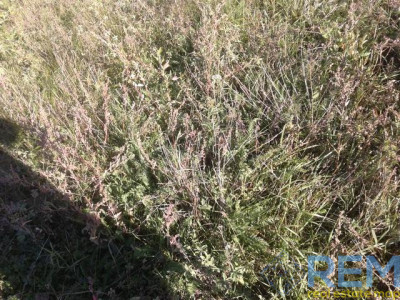 Продаж комерційне приміщення на ул. Шкодовая Гора, 3 приміщень - 1, поверх - 1 Одеса - фото 1