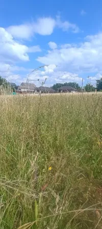 8 plots for sale for development Vinnytsya - photo 3