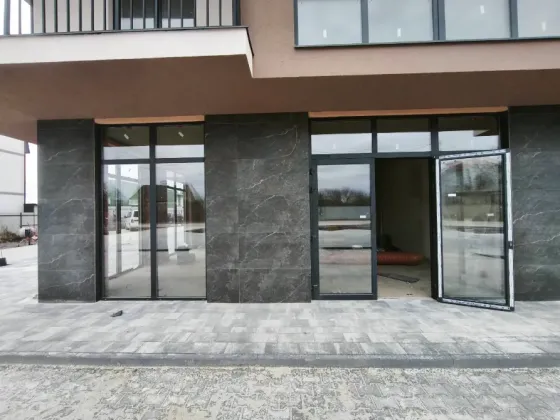 Здається Приміщення в житловому будинку площа 50 кв.м 1-й поверх Ужгород Загорська 168Д Ужгород