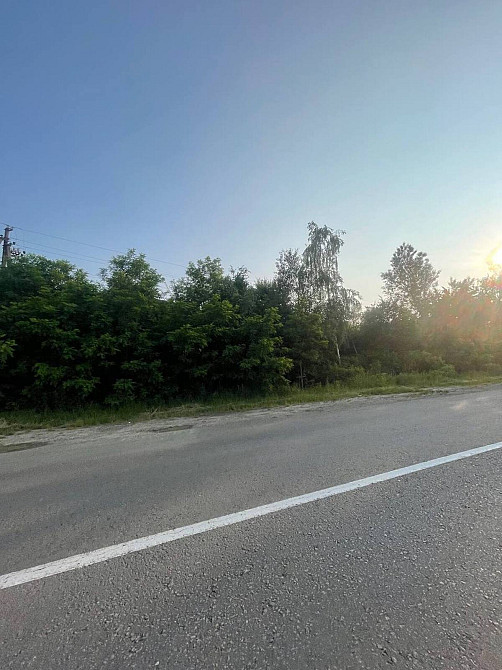 Продаж земельної ділянки 20 соток  - photo 2
