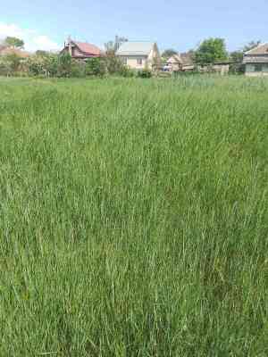 Продаж земельної ділянки 1 соток на ул. Поле соцсферы 1, 46 Великий Дальник