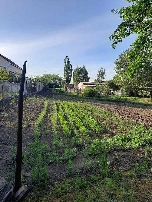 Продаж комерційне приміщення на ул. Генерала Бочарова, 44/6 приміщень - 1, поверх - 1 Крижанівка (Комінтернівський район) - фото 10