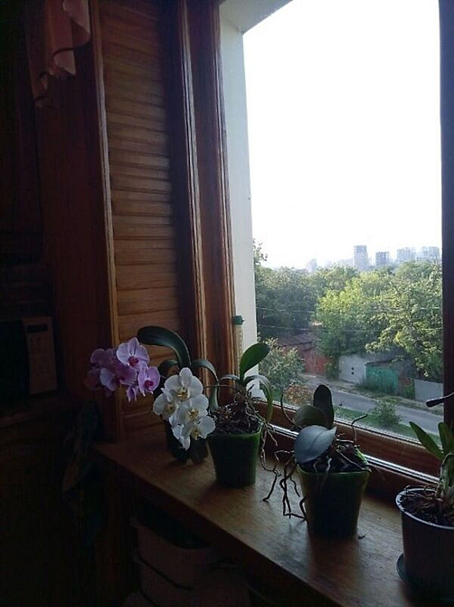 Оренда Квартира 3-кімнатна, 3/9 поверх на ул. Феодосийская Київ - фото 3