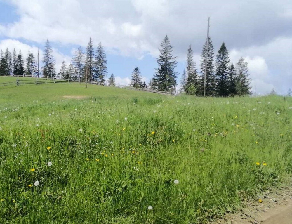 Продаж земельної ділянки 33 соток на Івана-Франка Ворохта - фото 8