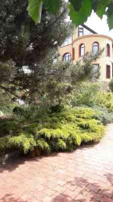 Продаж земельної ділянки 0.2 соток на ул. Речная, 15 Маяки (Биляивський район)