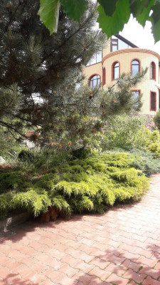 Продаж земельної ділянки 0.2 соток на ул. Речная, 15 Маяки (Біляївський район) - фото 5