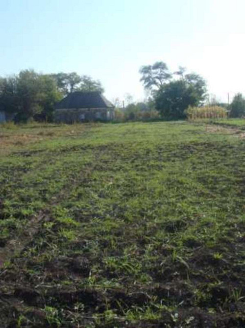 Продаж земельної ділянки 40 соток  - фото 4