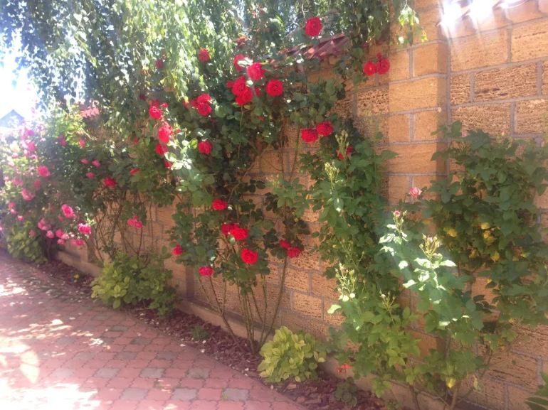 Продам 3-х этажный дом в Фонтанке-2 (ТЦ "Ривьера") Фонтанка - фото 9