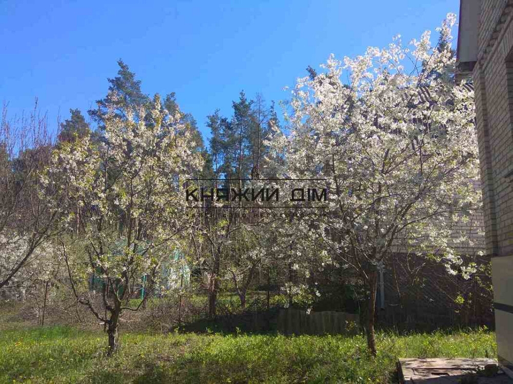 Продажа дачного домика в СТ Авиатор с. Николаевка Макаровский р-н. № 2210701  - фото 15