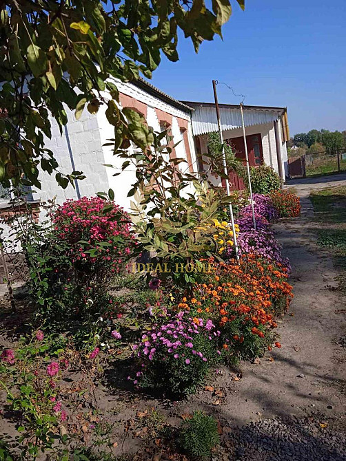 Продам будинок у Житних Горах  - фото 6