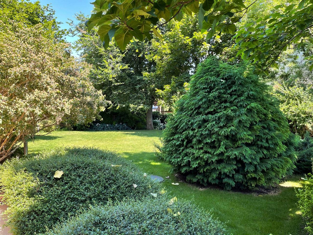 Продаж Будинок на Большой Фонтан / Фонтанская Дорога Odessa - photo 18