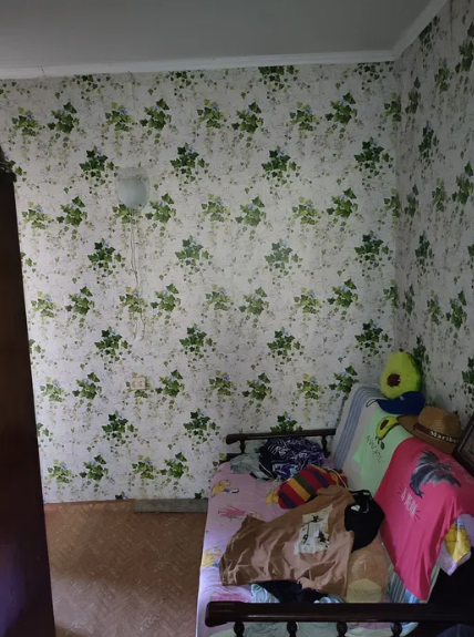 Продам дом-дачу на берегу Хаджибеевского лимана (СМ "Бурдовский) Бурдівка - фото 5