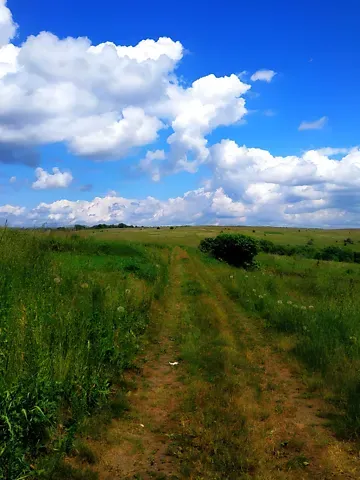 Продаж земельної ділянки  площа 6 сот Вишнева вулиця  - фото 8