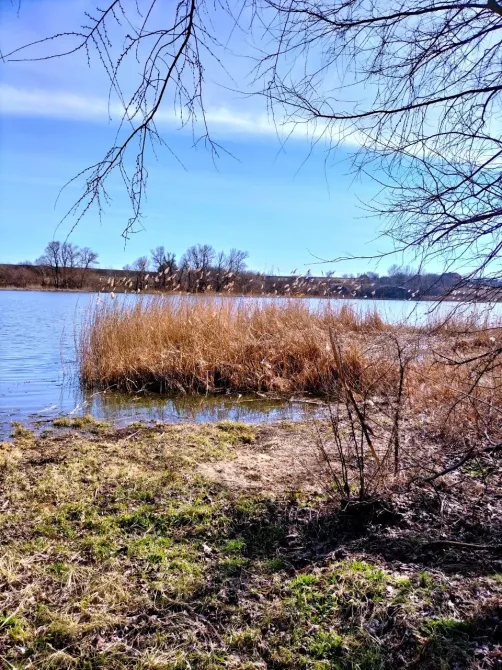 Продажа земельного участка Для строительства частного жилого дома площадь 15 сот село Миколаївка Днепр - изображение 4