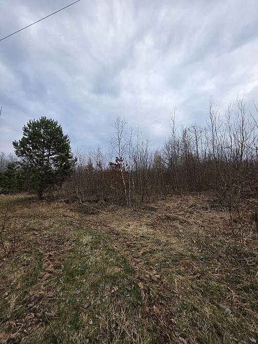 Продаж земельної ділянки 30 соток на Монастирська Посіч - фото 5