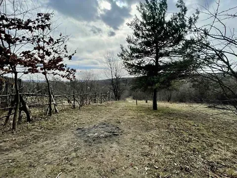For sale land plot  area 53 ares   - photo 5