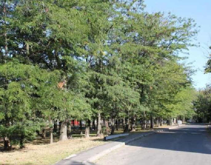 Продам 2х уровневую квартиру в клубном доме на 15 ст. Фонтана / ул. Макаренко Odessa - photo 8