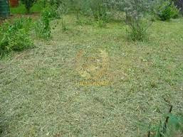 Продаж земельної ділянки 10.38 соток на Майская ул., 6  - фото 5