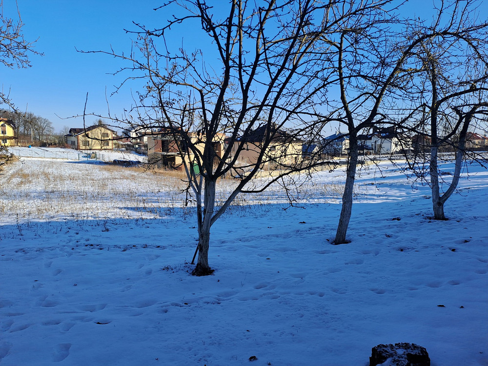 Продаж земельної ділянки з будинком у центрі Великих Гаїв  - фото 6