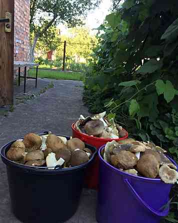 Продаж 3-поверховий Будинок з ділянкою 15 сот 125 кв.м 3 кімн. на Баришівка Zhytomyr