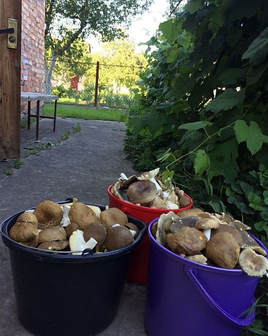 Продаж 3-поверховий Будинок з ділянкою 15 сот 125 кв.м 3 кімн. на Баришівка Zhytomyr - photo 3