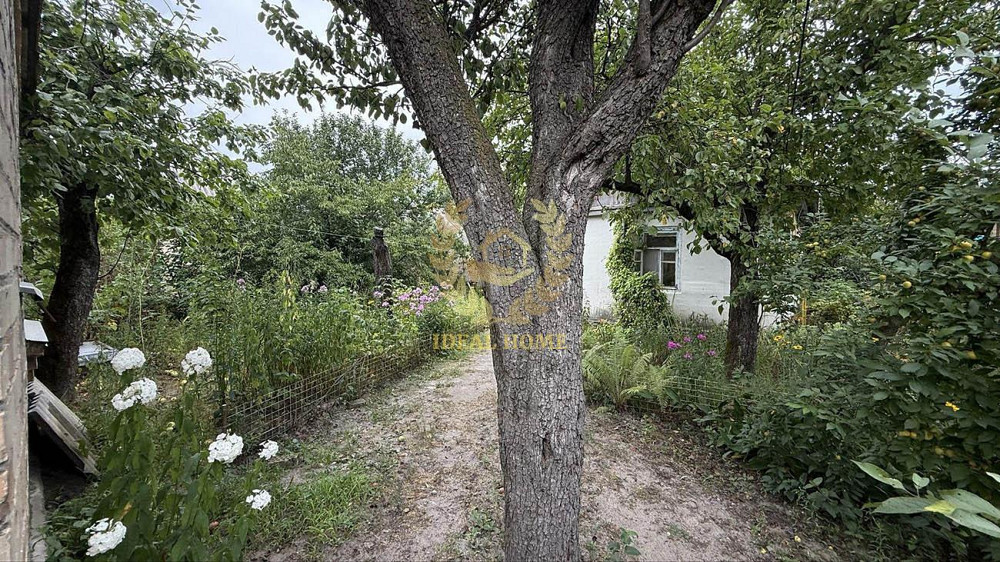 Продам будинок в Боярці Boyarka - photo 15