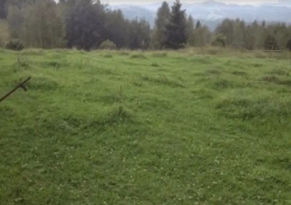 Продаж земельної ділянки 10 соток Підгородне - фото 2