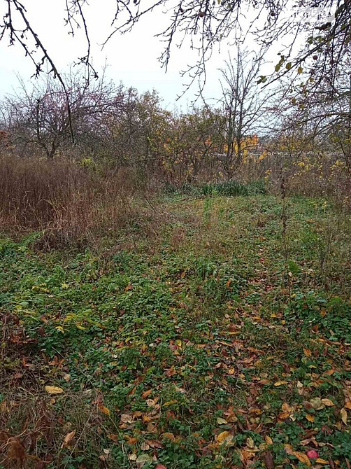 Продаж земельної ділянки 16 соток на Івана Пулія Vinnytsya - photo 4