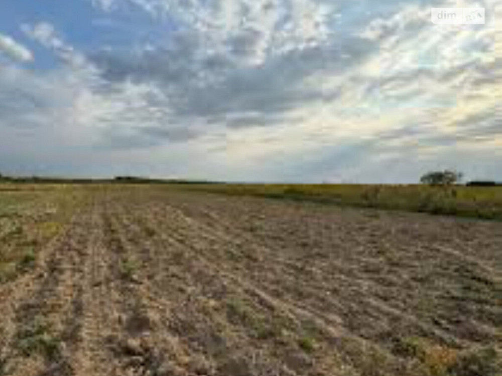 Продаж земельної ділянки 25 соток Вінниця - фото 1