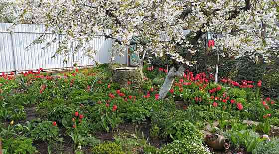 Затишний будинок у тихому та комфортному районі на Костанді Одесса