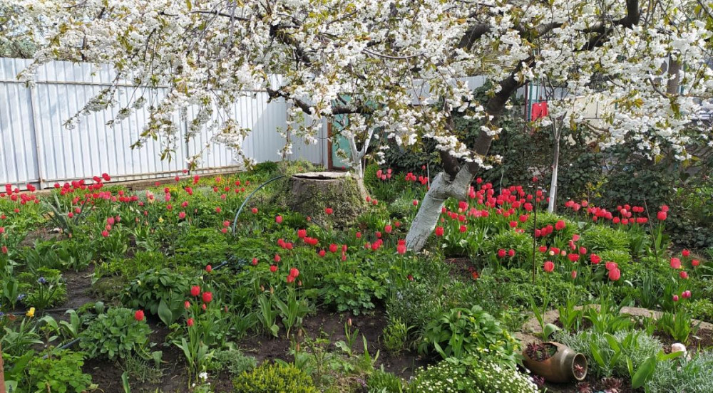 Затишний будинок у тихому та комфортному районі на Костанді Одеса - фото 1