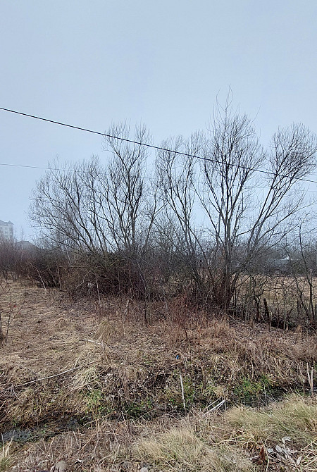 Продаж земельної ділянки 60 соток на Шевченка Богородчани - фото 1