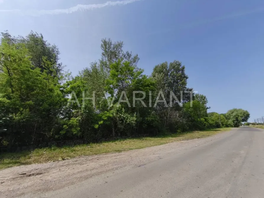 Продаж земельної ділянки Будівництво та експлуатація виробничих підприємств площа 115 сот Берег Чоп - фото 9