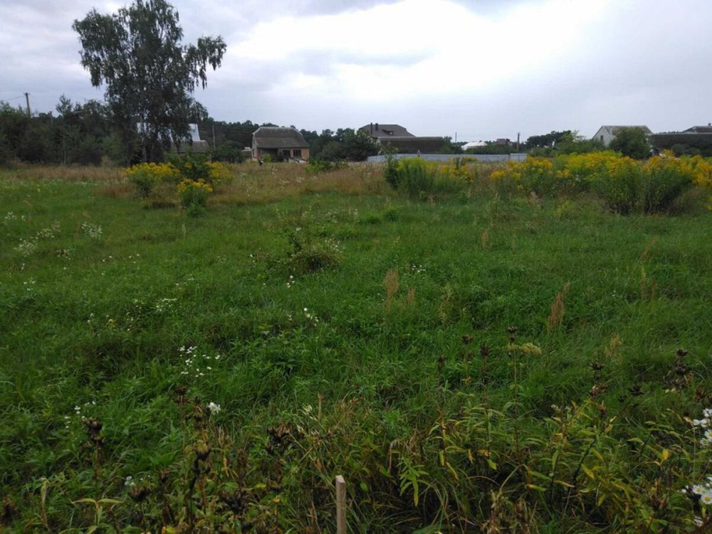 Продаж земельної ділянки 16 соток на Вербова Иква - изображение 4