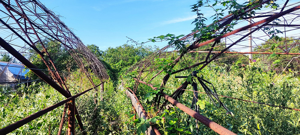 Продается домс.  Усатово с большим участком. Усатове - фото 11