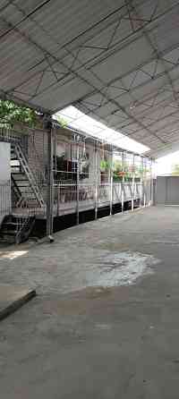 Усадьба на 8 сот. в с. Усатово Усатове