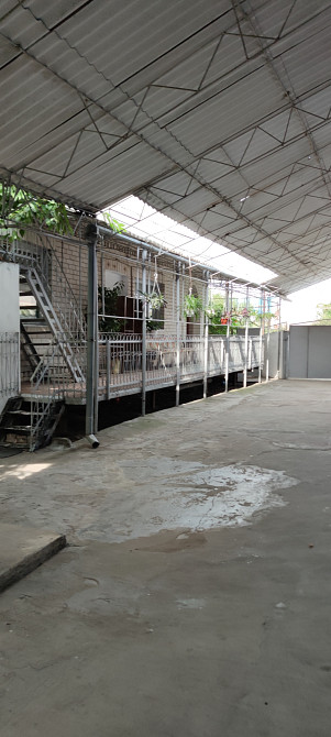 Усадьба на 8 сот. в с. Усатово Usatove - photo 6