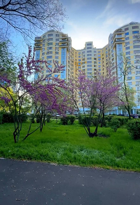 Продаж Квартира 1-кімнатна, 6/18 поверх на Шевченко проспект Odessa - photo 4