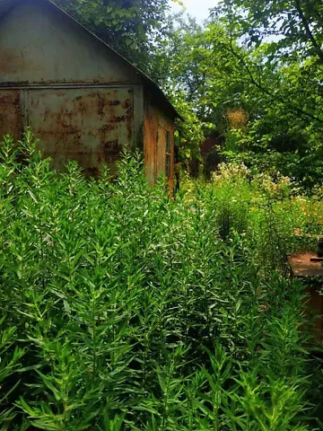 For sale 2-storey   80 sq.m 4 rooms at Дачна вулиця 106  - photo 12