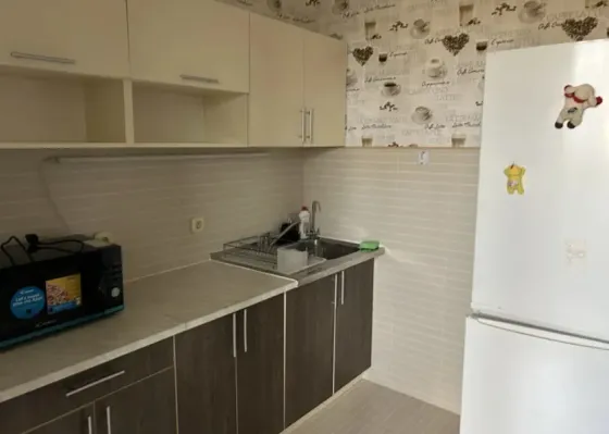 For rent 1-room Apartment 42 sq.m вул.Трутенко Kiev