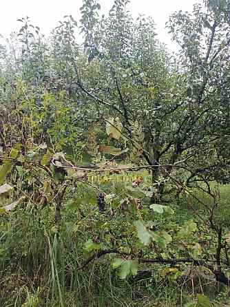 Продам будинок Кренечі Krenychi