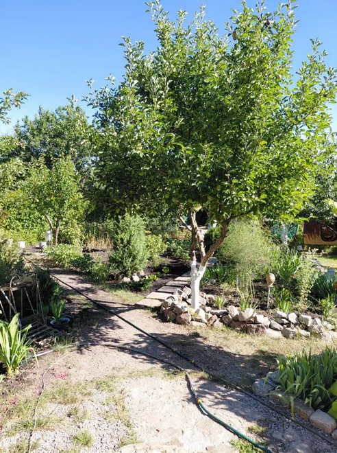 Продам дачу Кооператив Радист. Кропивницький - фото 12