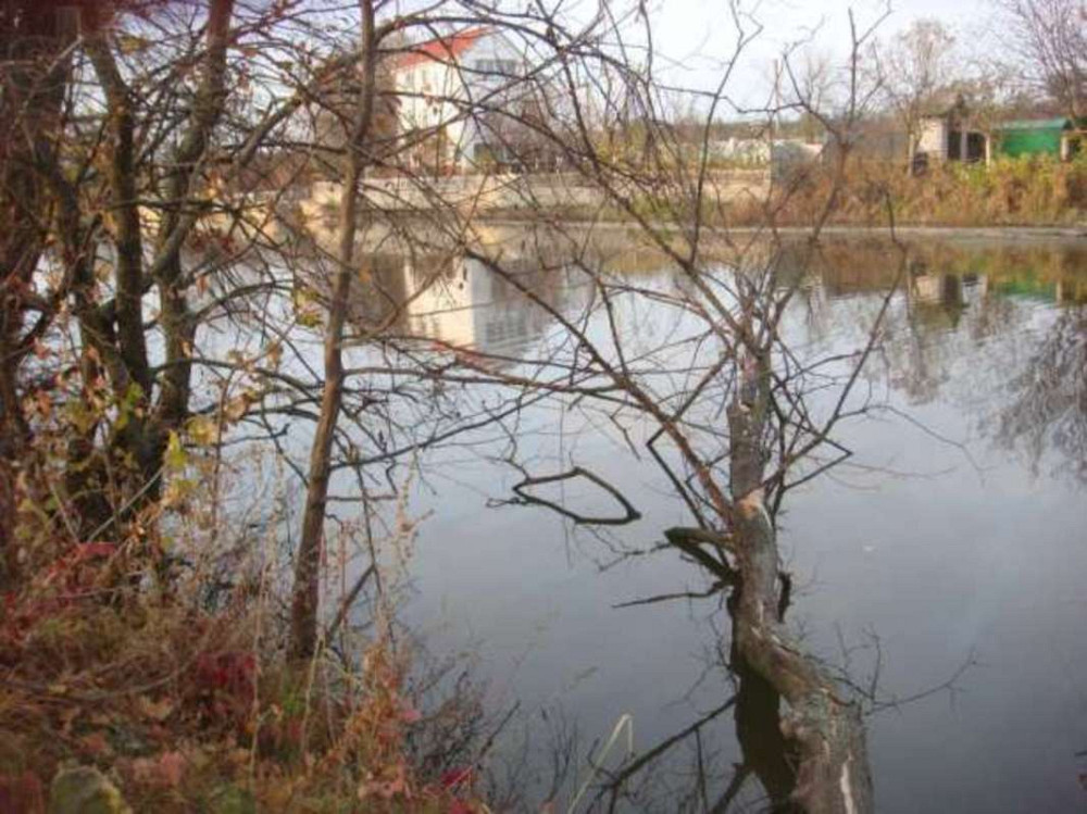 Продаж земельної ділянки 41 соток Кийлів - фото 3