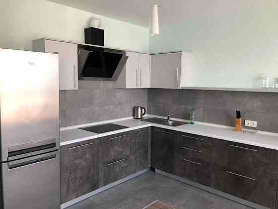 Оренда Квартира 1-кімнатна, 19/24 поверх на Днепровская набережная Київ