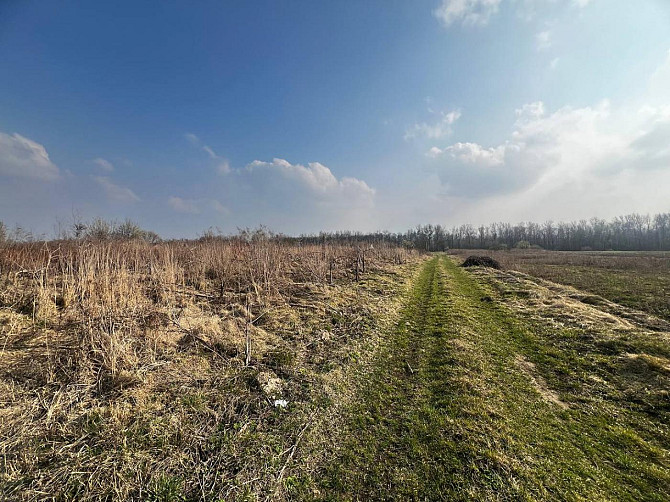 Продаж земельної ділянки — Яворівський район Домажир - фото 3