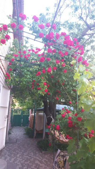 Продам дом -дачу возле моря в Крыжановке (СТ "Приморье") Одеса - фото 3